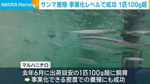 Yahoo!ニュース - News update