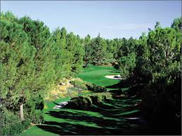 Image result for shadow creek golf