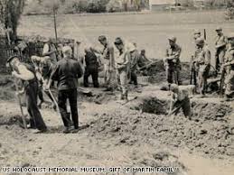 Résultat de recherche d'images pour "nazi mass grave"