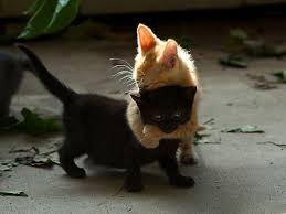 Image result for hugs