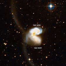Image result for ngc 4038