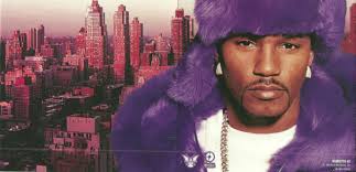 Image result for cam'ron pink fur