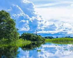 Parque Nacional do Pantanal