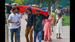 Delhi feels the heat, real feel temp touches 48.5°C