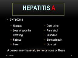 Image result for hepatitis a virus symptoms