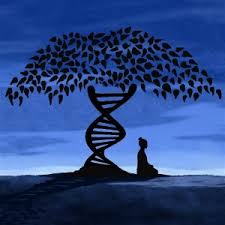 67 Quotes for Genetic Genealogists | Abroad in the Yard via Relatably.com