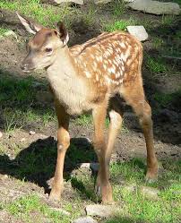 R&eacute;sultat de recherche d'images pour 