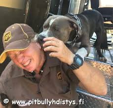 Suomen pitbull -yhdistys • Finska pitbull föreningen rf. • : . .