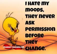 mood swings on Pinterest | Hot Flashes, Playground and Pissed Off via Relatably.com