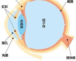 視力検査 人間ドックの画像