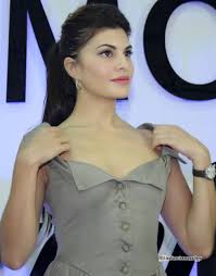 Image result for jacqueline fernandez pic blogspot