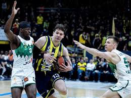 Zalgiris Fenerbahce : ce qu'il faut savoir — image 3