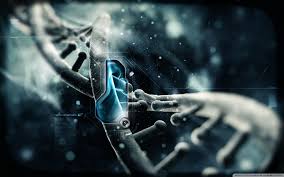 Image result for dna strand