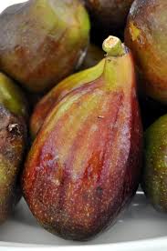 Résultat de recherche d'images pour "burying fig trees"