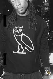 Image result for drake ovo jacket