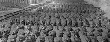 Image result for vault 7