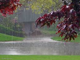 Image result for ‫عکس باران متحرک‬&lrm;