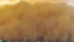 Border patrol: lakh trees guard