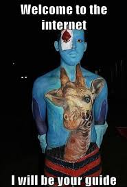 Image result for welcome to the internet meme