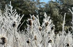 Cold rain for most, snow for some as system moves into WNC