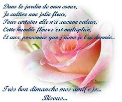 Résultat de recherche d'images pour "image bon dimanche"