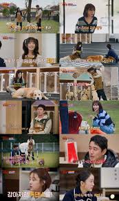 네이트 뉴스 - News update