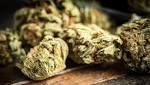  More parents smoking pot around kids, study finds