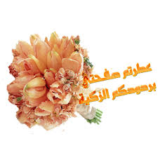 القعدة