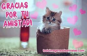 Image result for gracias por tu amistad