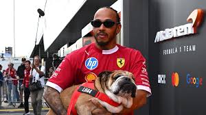 Formula 1 - News update
