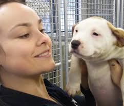 SPCA Otago animal manager Grace Hepburn holds one of the many unwanted animals dropped off at the SPCA&#39;s Opoho Haven recently. - spca_otago_animal_manager_grace_hepburn_holds_one__51b17acd39