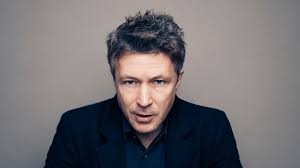 Aidan Gillen Joins FX's Witness Protection Pilot