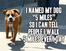 Image result for this week's top funnies
