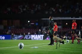 Juventude y su proyecci&oacute;n futura