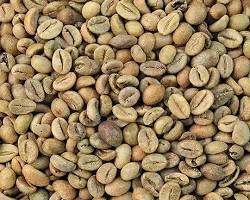 Gambar Kopi Kintamani beans