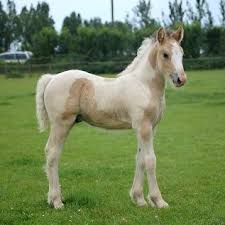 R&eacute;sultat de recherche d'images pour 