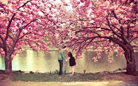 Image result for true love wallpaper