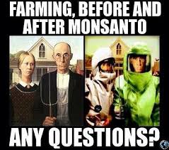 Afbeeldingsresultaat voor monsanto