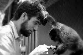 Image result for MONKEYS