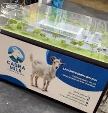 Tragédia no Motocross: Piloto Perde a Vida em Corrida na Paraíba!