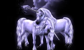 images?q=tbn:ANd9GcSiMCr4E6B9K4di0lHM6Ok3urVWj2M0sngNysv23iMMW61dUPlM