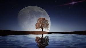 Horoscopul zilei de 30 ianuarie