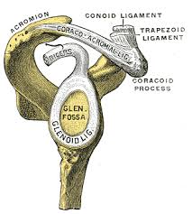 Picture of SLAP tear