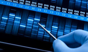 Image result for dna profiling
