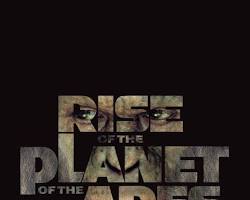 Image of Poster film Rise of the Planet of the Apes (2011)