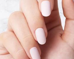 Image of Ovalshaped nails