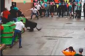 toros san marcos beas de segura