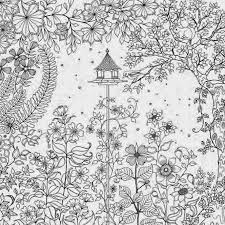 Resultado de imagem para saraiva jardim secreto livro para colorir