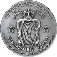 Résultat de recherche d'images pour "logo Gendarmería Real Marroquí"