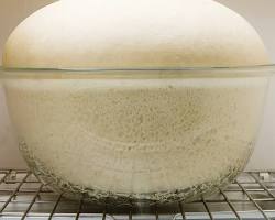 Image of Dough rising